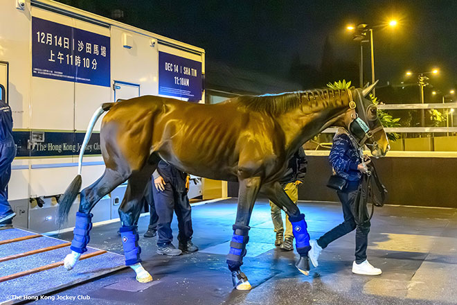 ローシャムパーク