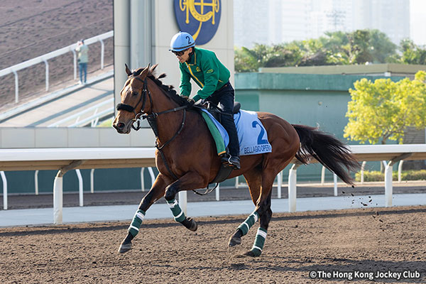 ベラジオオペラ