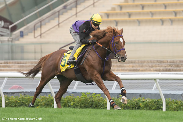 ウインカーネリアン