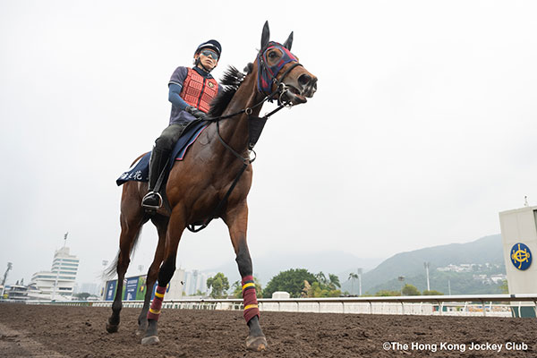 エンブロイダリー