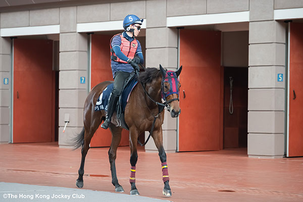 エンブロイダリー