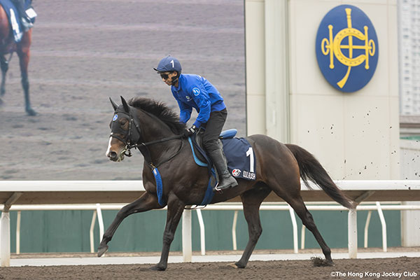 ソウルラッシュ