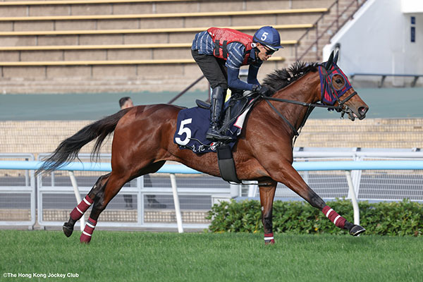 エンブロイダリー