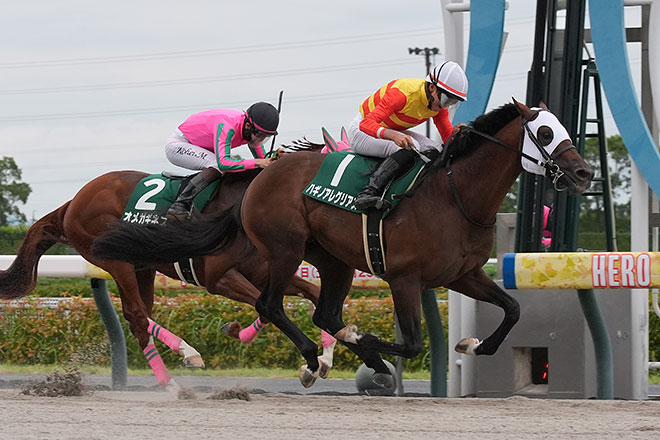 �n�M�m�A���O���A�X