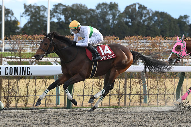 �E�B���A���o���[�Y