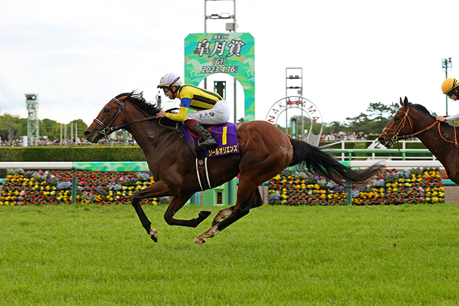 ソールオリエンス