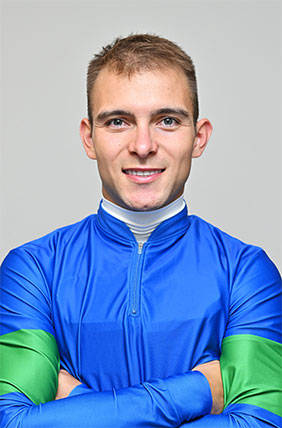 �g�[���E�n�}�[�n���Z���R��