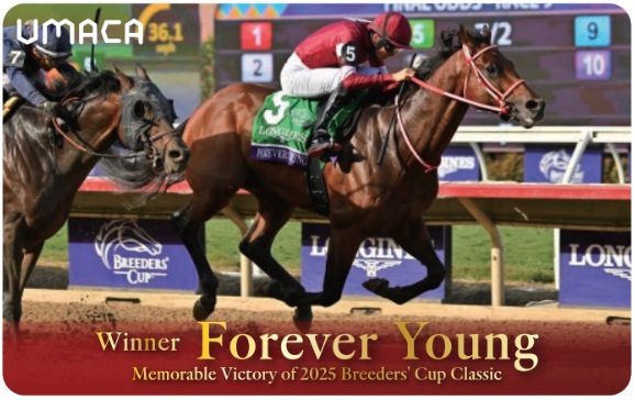 UMACA�J�[�h�p�@�I���W�i�������ւ��X�e�b�J�[