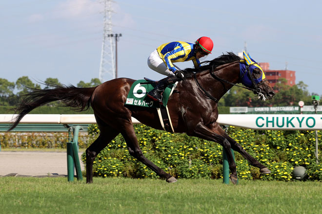 �Z���o�[�O