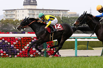 �V���O�U�b�g�\���O