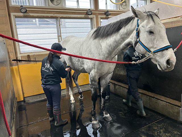 �n�̎����