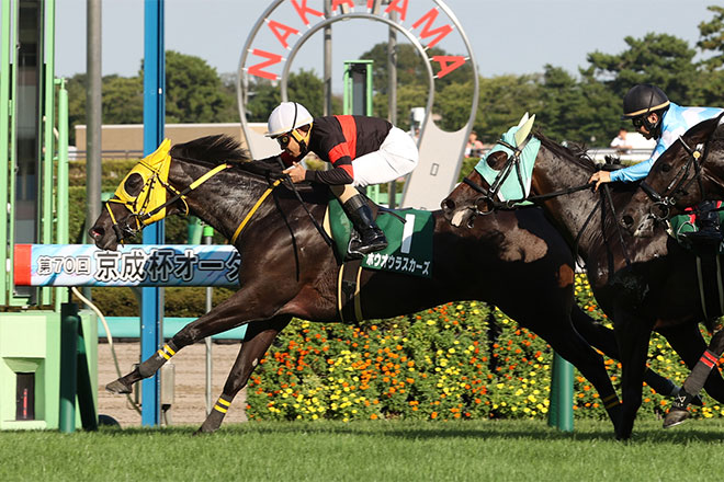 ホウオウラスカーズ