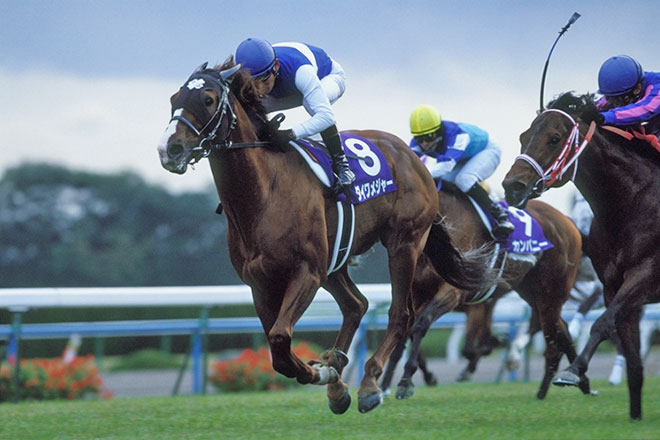 ダイワメジャー