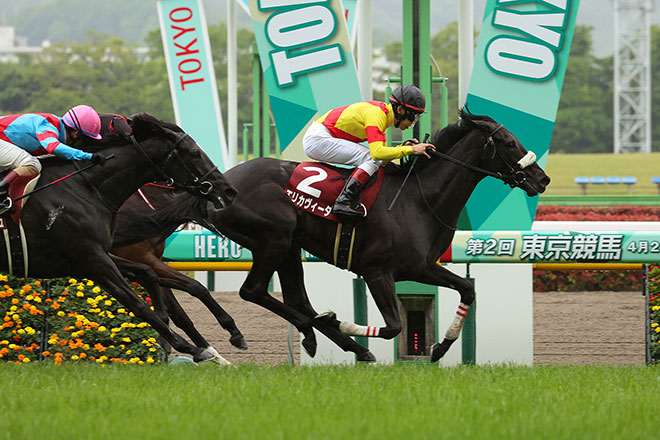 �G���J���B�[�^