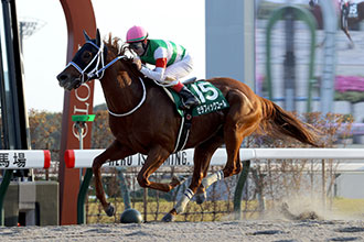 �Z���t�B�b�N�R�[��