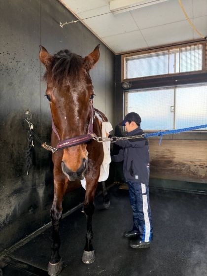 �n�̎����