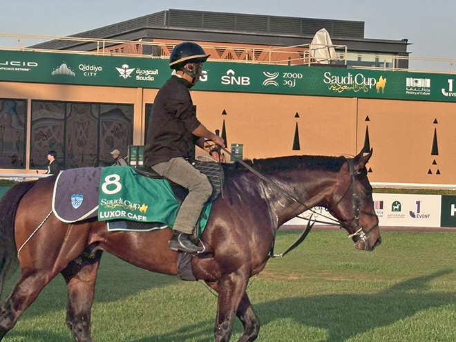 ���N�\�[���J�t�F