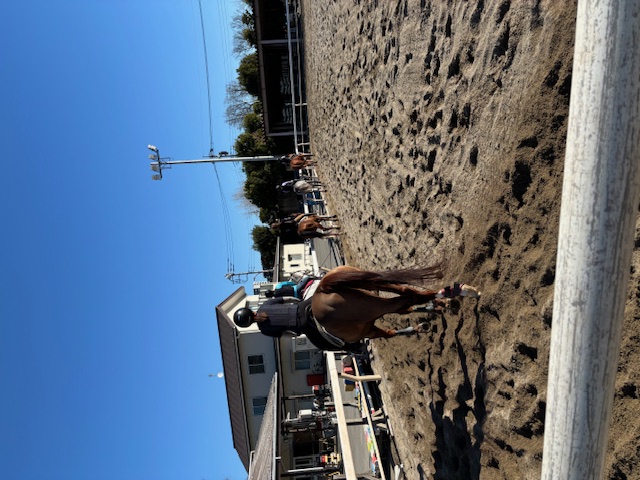 ���S�ҏ�n�N���X 1