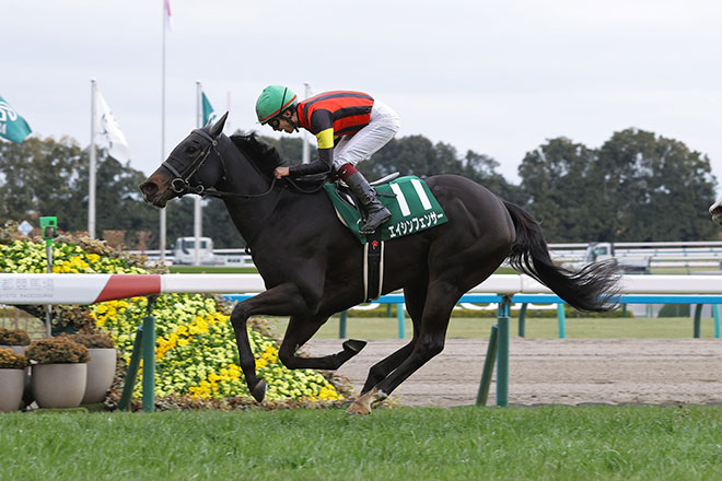 �G�C�V���t�F���T�[