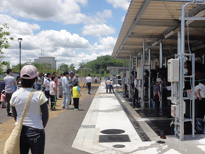 「ファミリーで馬に親しむ日」 2