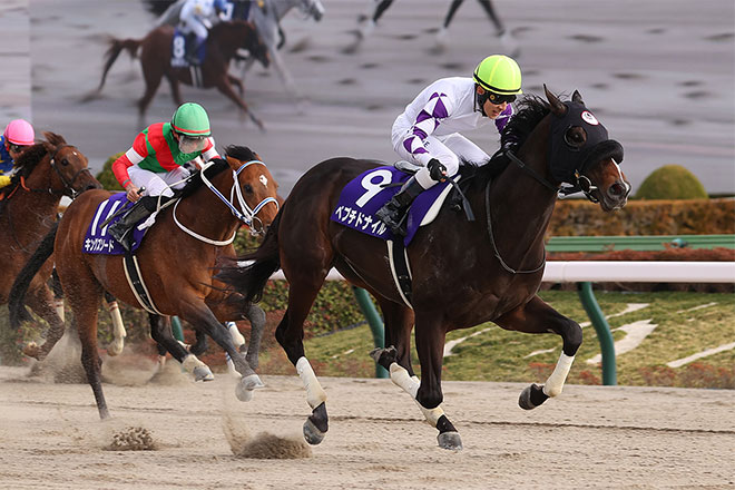 ペプチドナイル