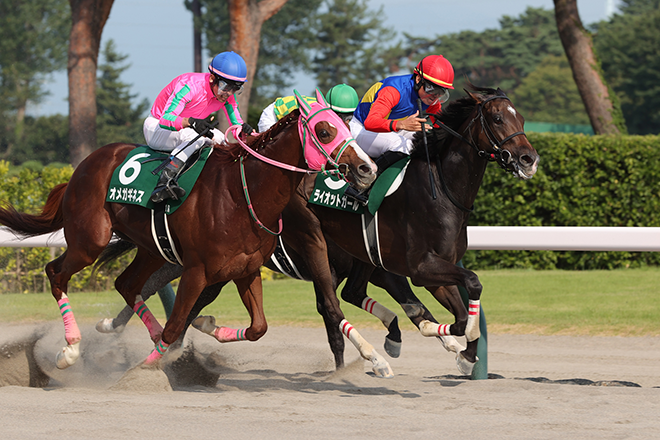 ���C�I�b�g�K�[��