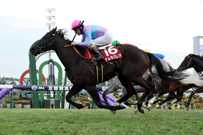 �i�����N���A