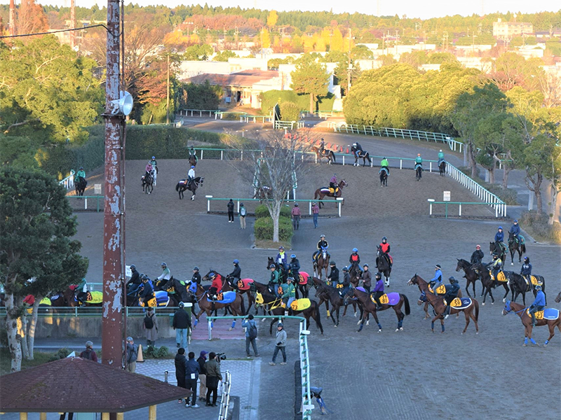 �������w