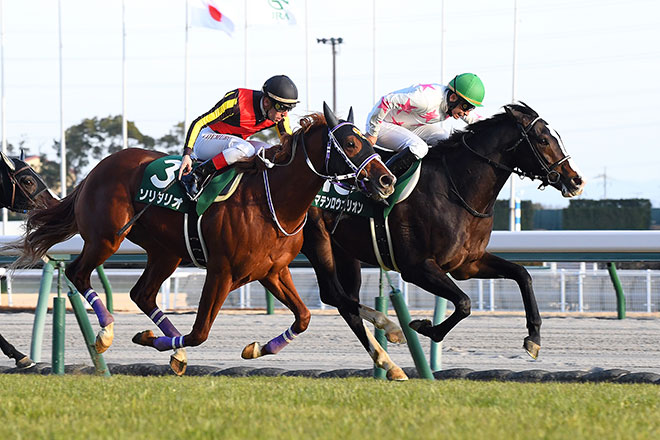 �}�e�����E�I���I��