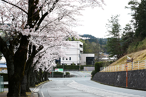 栗東トレーニング・センター競馬会館の写真