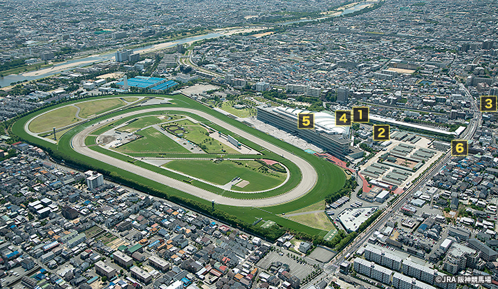 阪神競馬場周辺の空撮写真