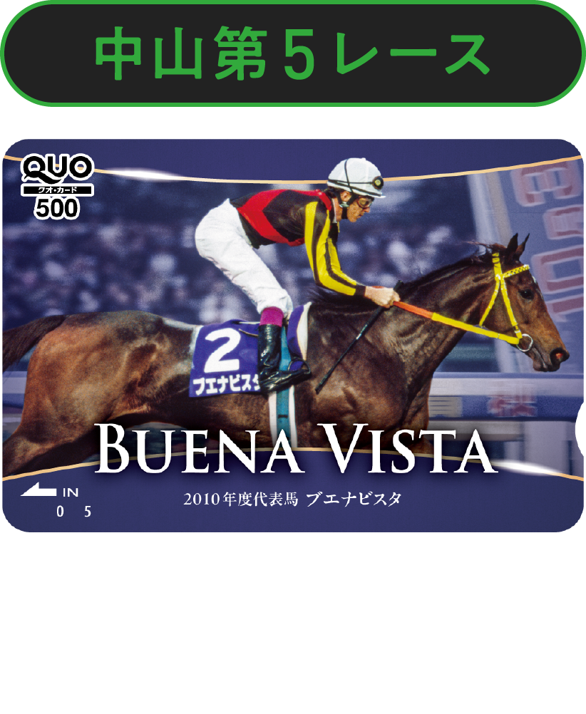 ���R��5���[�X�@2010�u�G�i�r�X�^