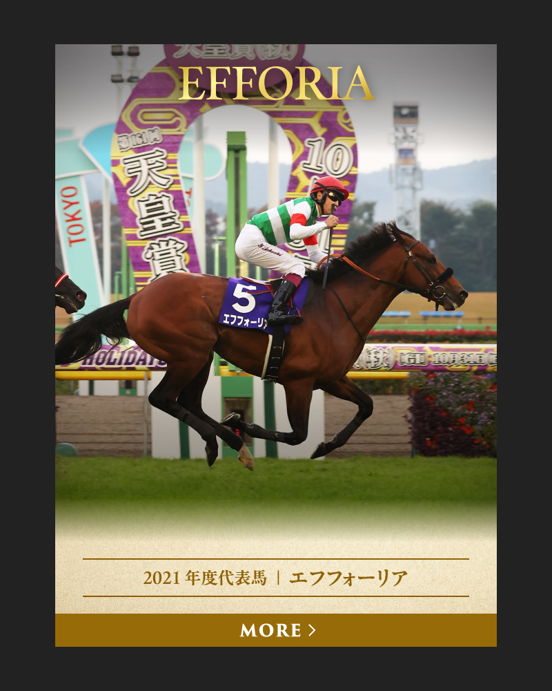 2021 年度代表馬  ｜  エフフォーリア