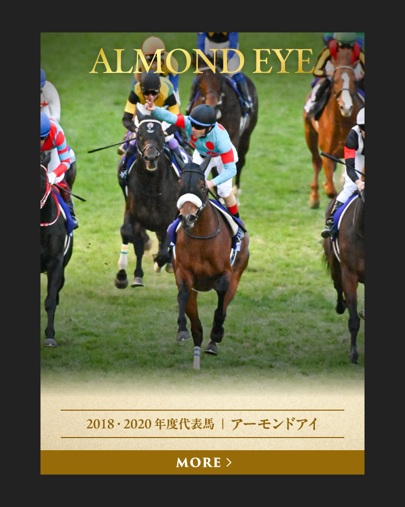 2018・2020 年度代表馬  ｜  アーモンドアイ