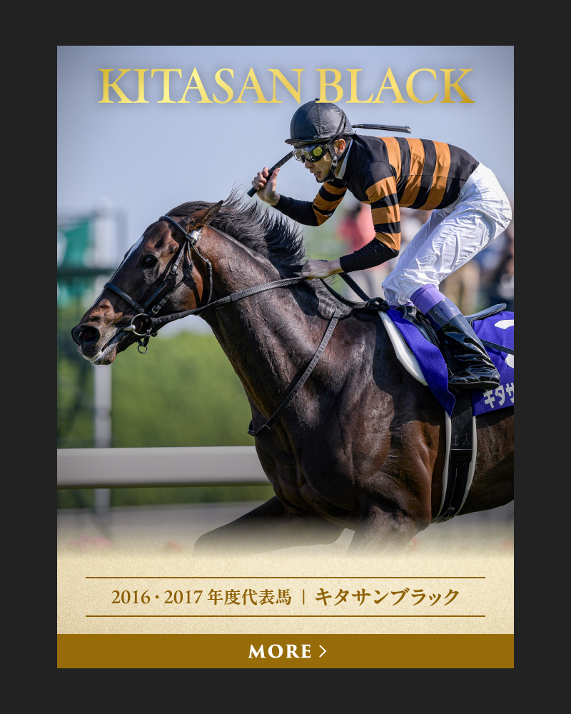 2016・2017 年度代表馬  ｜  キタサンブラック