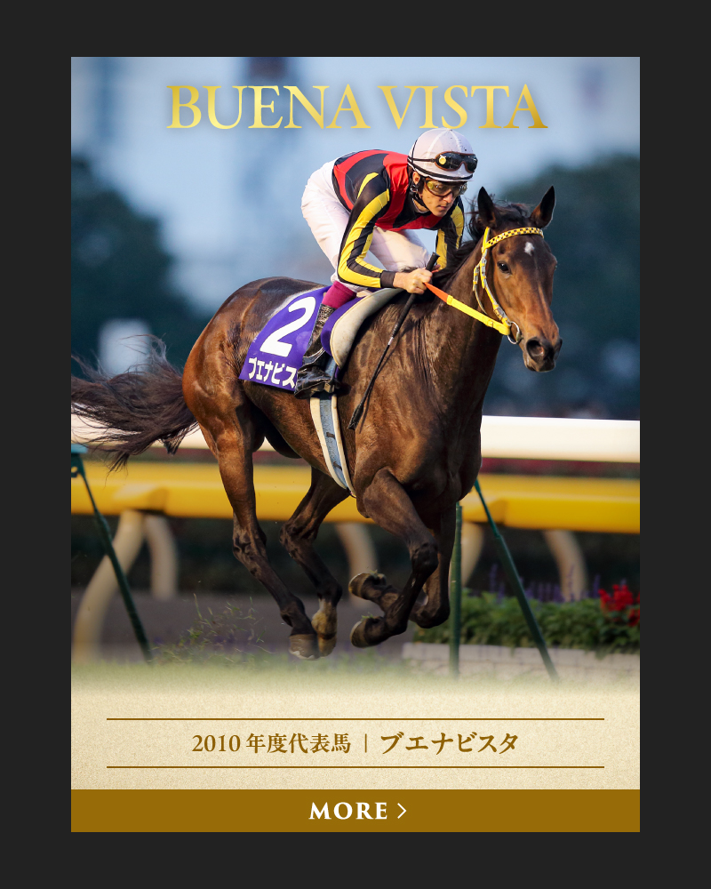 2010 年度代表馬  ｜  ブエナビスタ