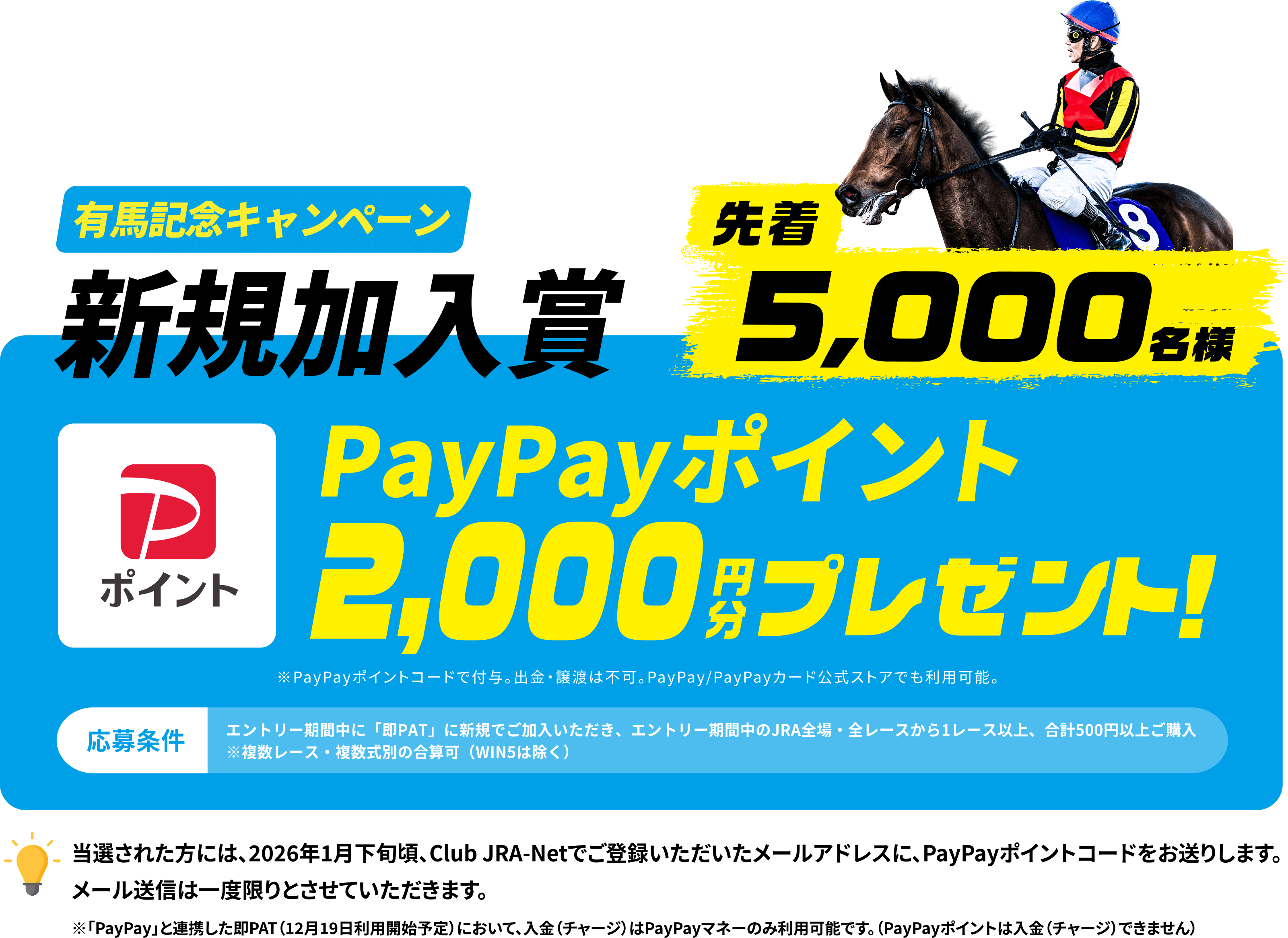 【新規加入賞】先着5,000名様　PayPayポイント2,000円分